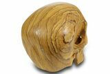 Realistic, Polished Picture Jasper Skull #378610-4